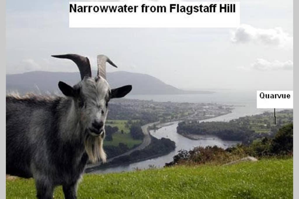 Quarvue Farmhouse, Unique House With Views Of Mournes And Cooleys O Meith 외부 사진